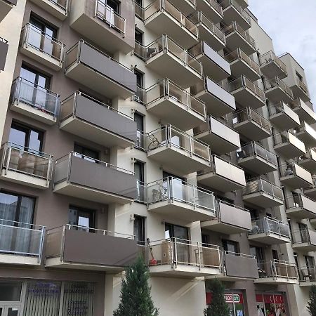 Mivardomi Accommodation Cluj-Napoca Exterior foto